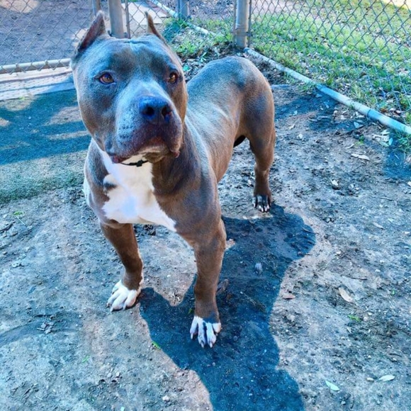 Meet your Posher, Walter - Picture 1 of 1